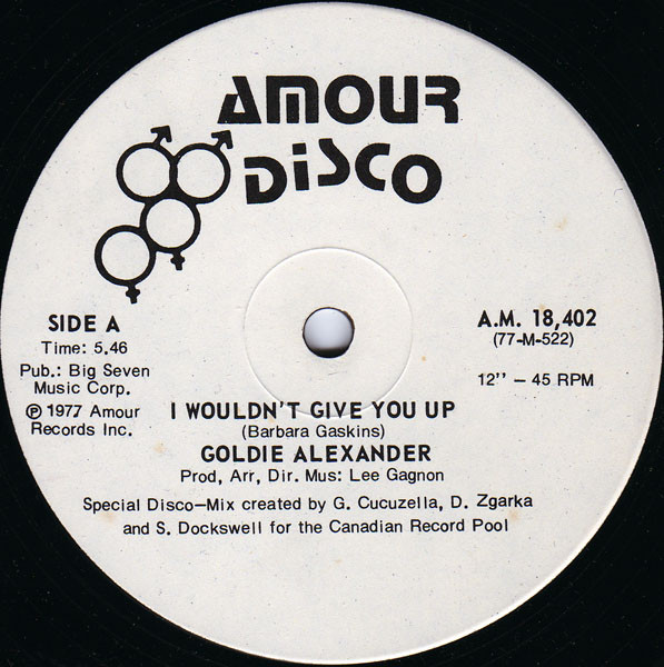 I Wouldn't Give You Up