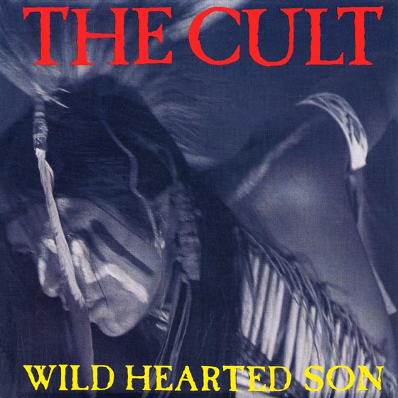Wild Hearted Son
