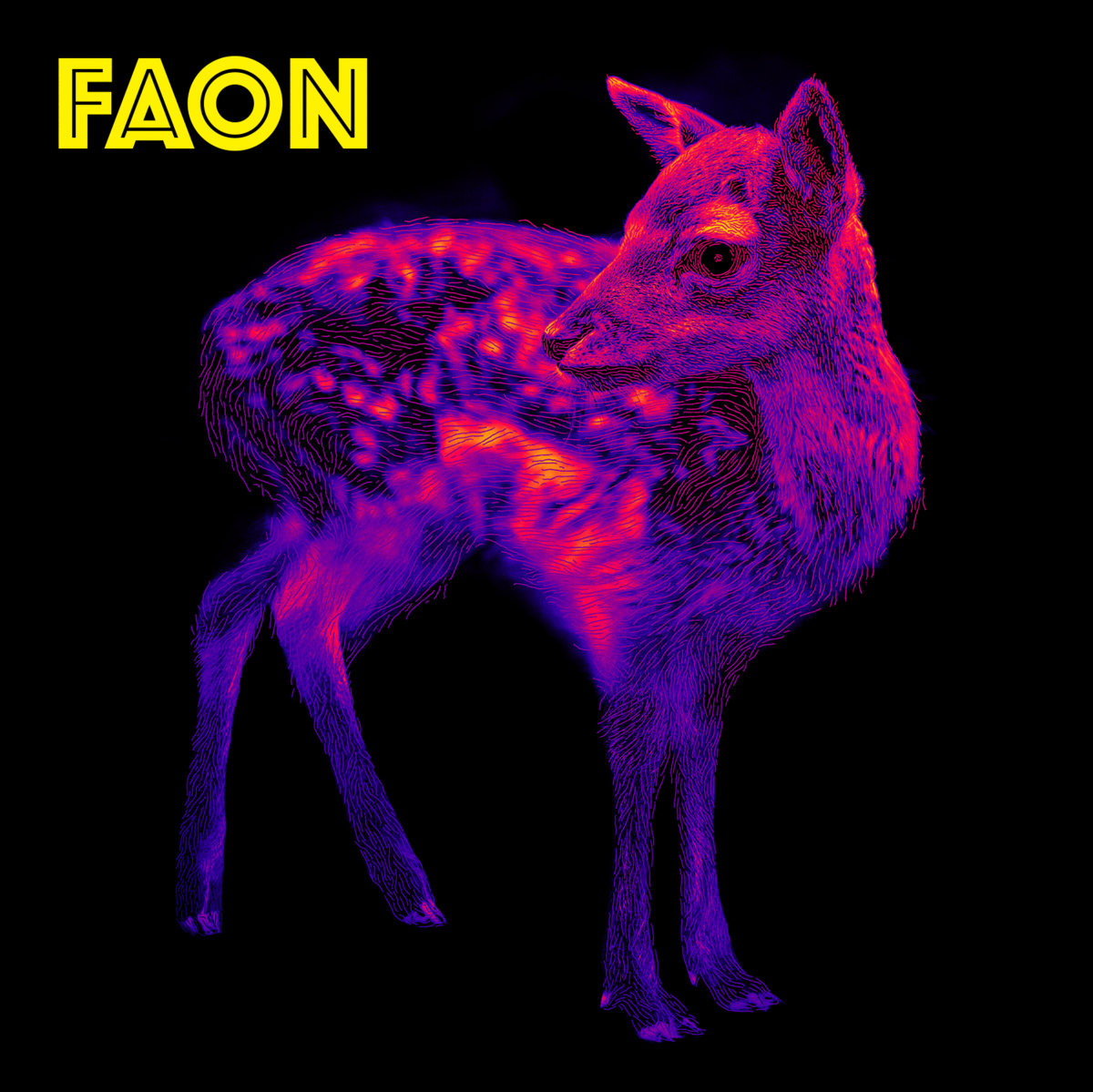 Faon