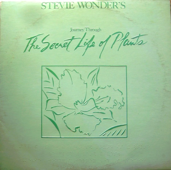 Stevie Wonder's Journey Through The Secret Life Of Plants