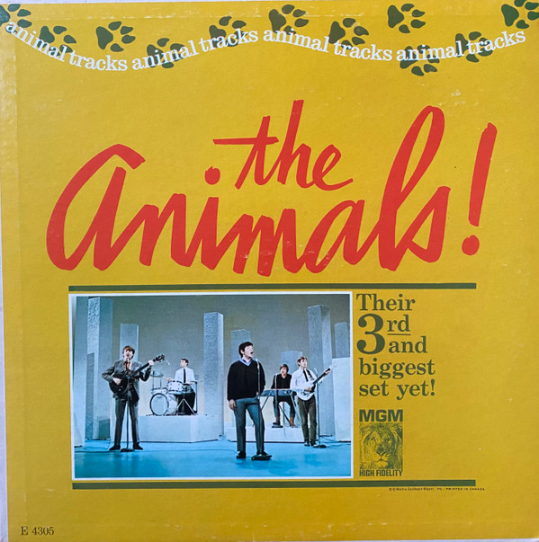 Animal Tracks