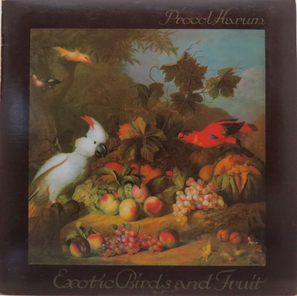 Exotic Birds And Fruit