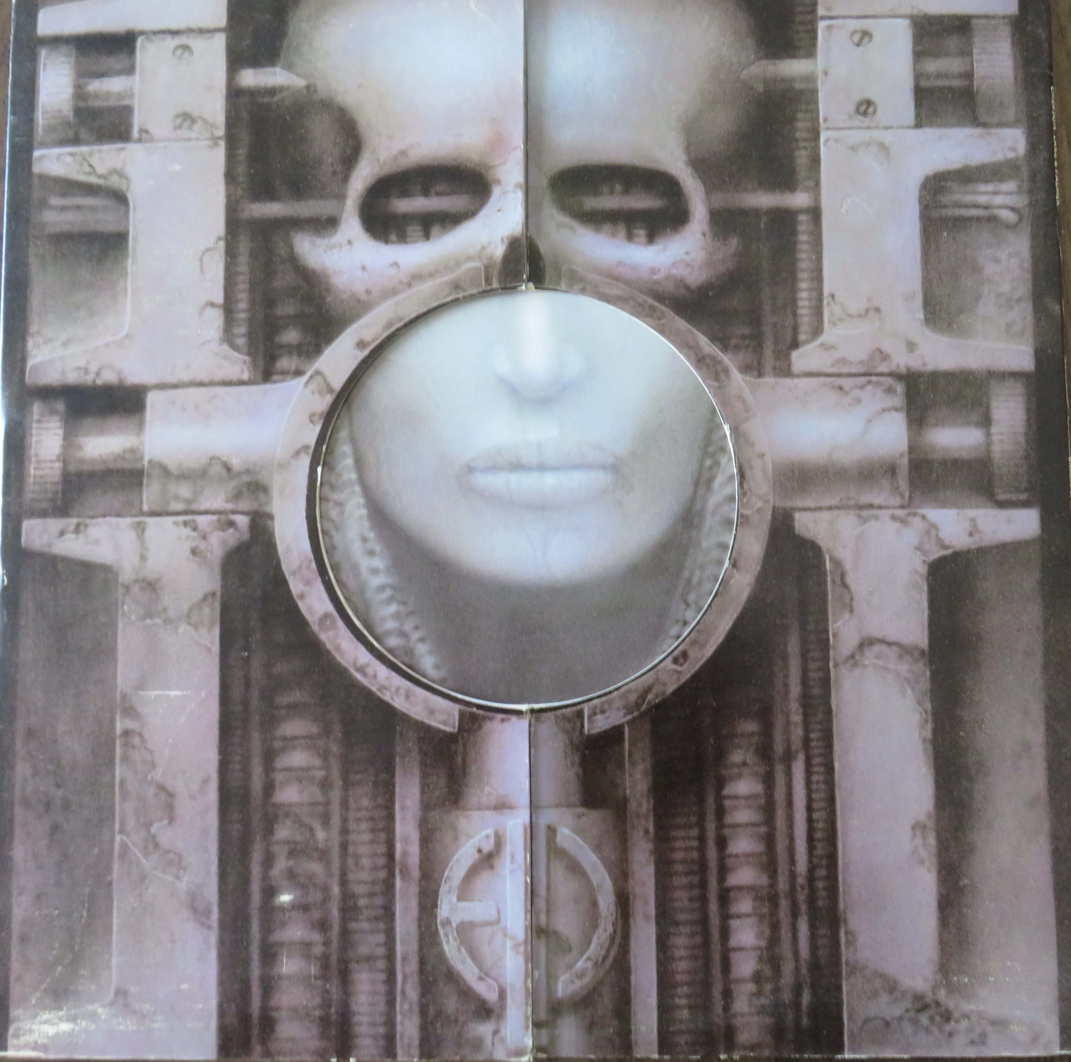 Brain salad surgery